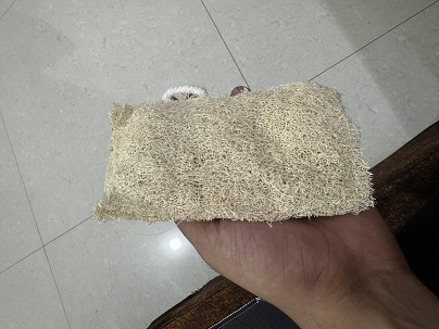 Rectangle Shape Loofah